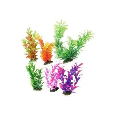 Z Deal Product 1